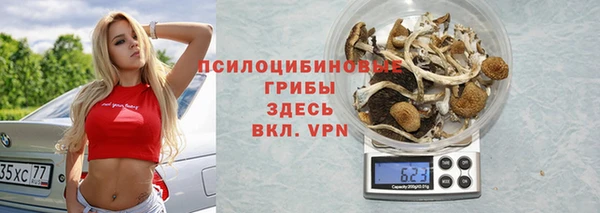 круглые Алзамай