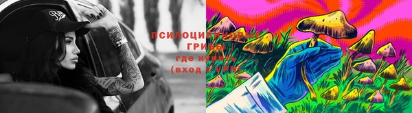 шишки Алексин