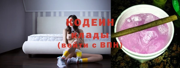 шишки Алексин