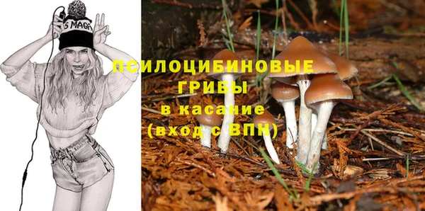 прущая мука Алексеевка