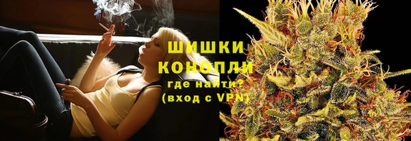 шишки Алексин