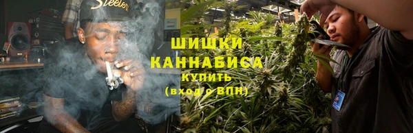 шишки Алексин