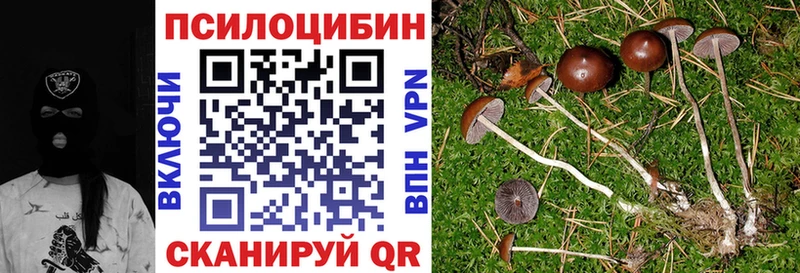 mega как зайти Белоярский Галлюциногенные грибы ЛСД сайты даркнета как зайти купить наркотики цена
